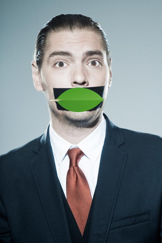 Join me for the Community Open House for MongoDB