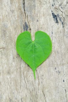 Percona Server for MongoDB 3.4