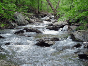 MongoDB 3.6 Change Streams