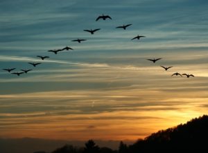Migrating MySQL Users to Amazon RDS