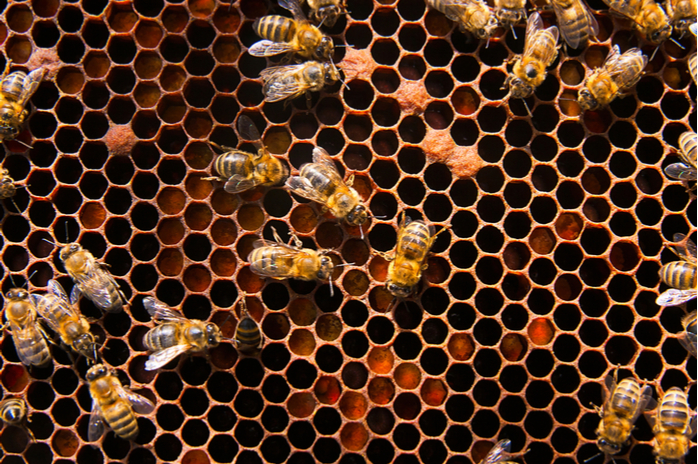 Webinar: Percona XtraDB Cluster 5.7 Tutorial Part 2