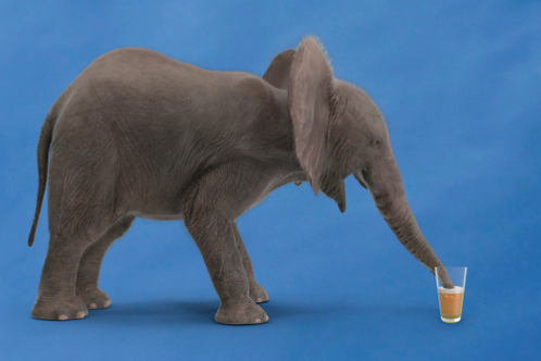 Tuning Autovacuum in PostgreSQL and Autovacuum Internals