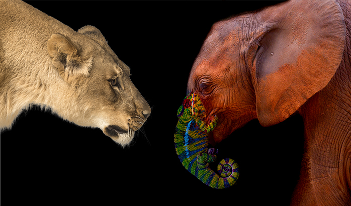 Replication from Percona Server for MySQL to PostgreSQL using pg_chameleon