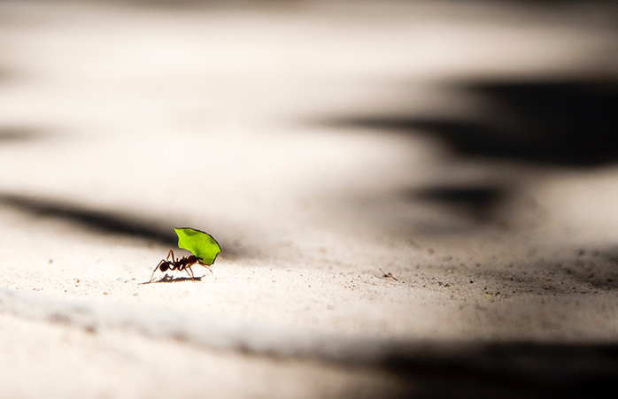 TasksMax: Another Setting That Can Cause MySQL Error Messages