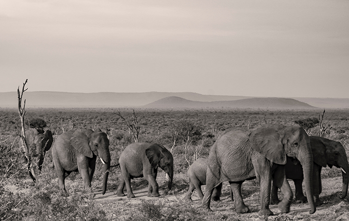 PostgreSQL fsync Failure Fixed – Minor Versions Released Feb 14, 2019