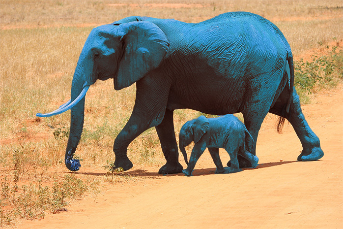 Fast Upgrade of Legacy PostgreSQL with Minimum Downtime Using pg_upgrade