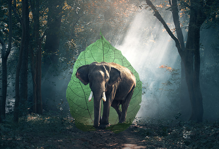 An Overview of Sharding in PostgreSQL and How it Relates to MongoDB’s