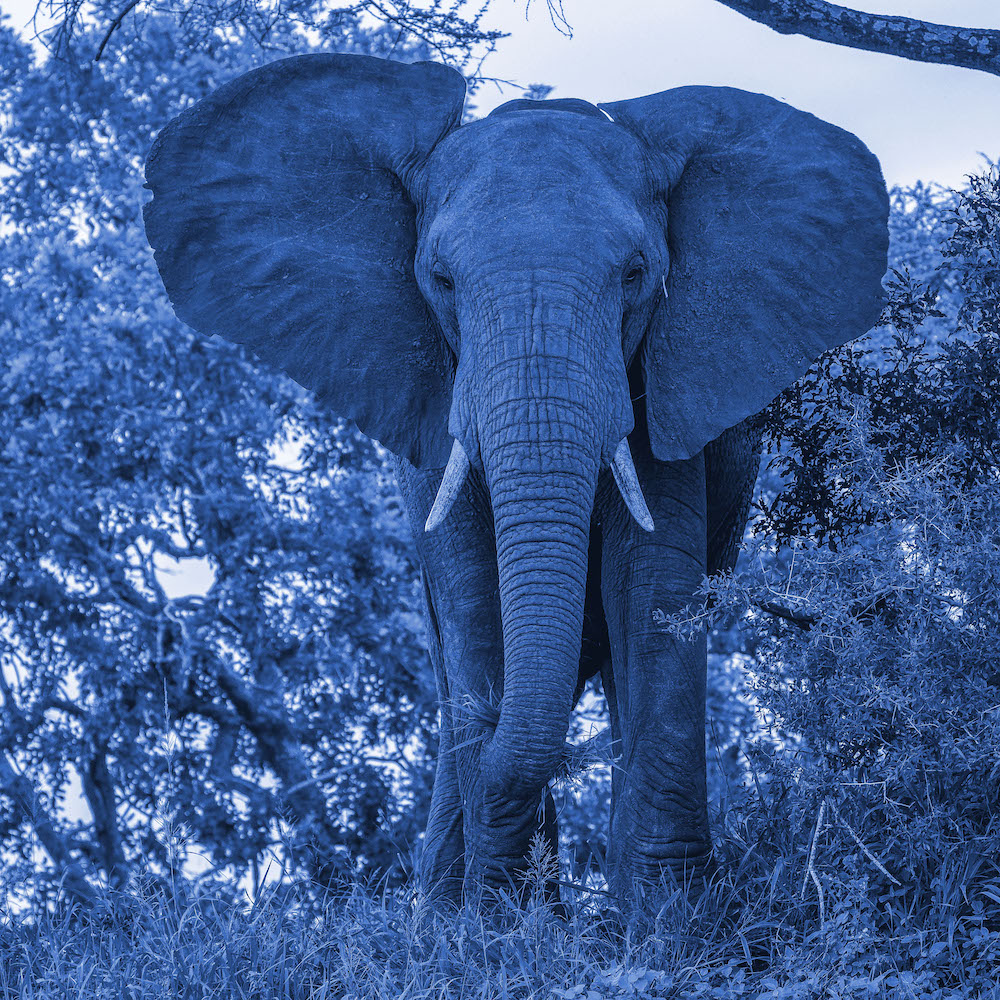 Hypothetical Indexes in PostgreSQL