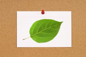 MongoDB Impact-free Index Builds