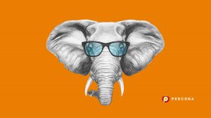 Percona Distribution for PostgreSQL 11