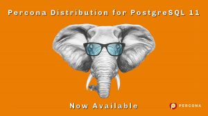 Percona Distribution for PostgreSQL