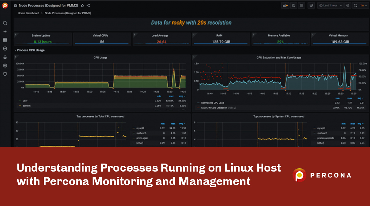 Understanding Processes Running on Linux Host with Percona Monitoring and Management