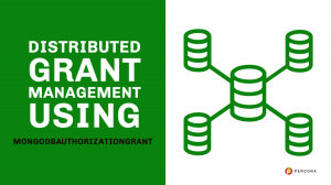 MongoDBAuthorizationGrant