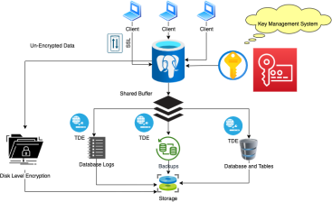 What is Transparent Data Encryption? Ultimate Guide on TDE