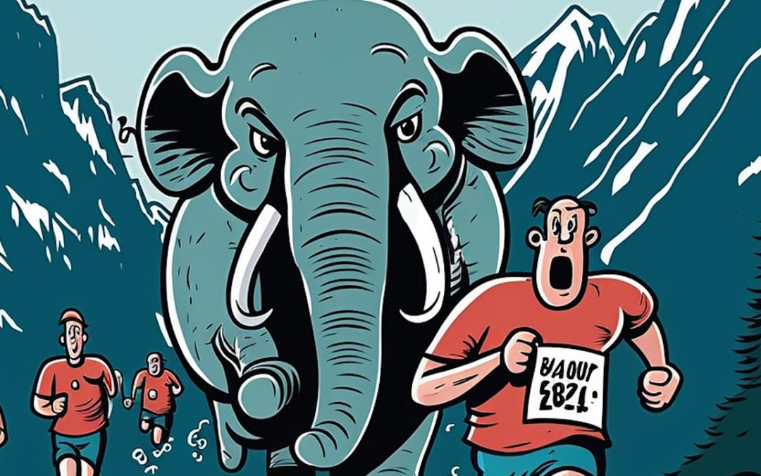 Database Teams Run Denver Marathon Relay at Percona Live 2023