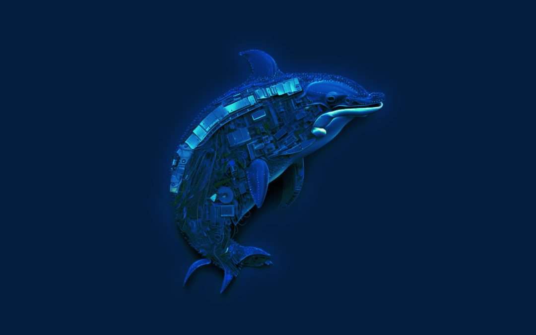 Creating and Using MySQL 8 User Attributes