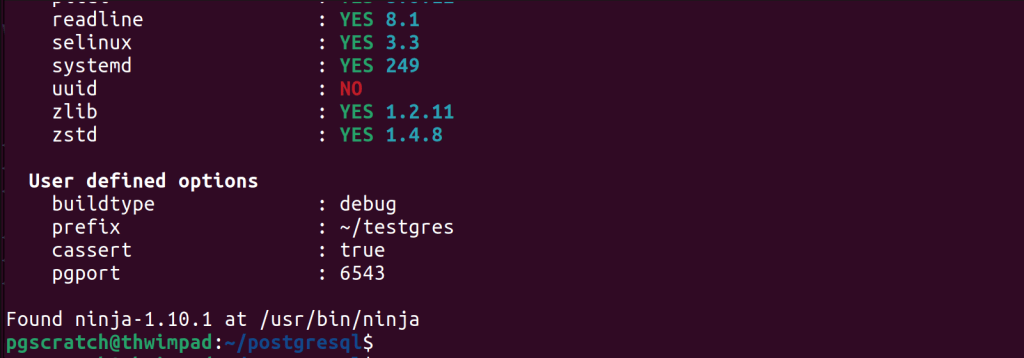 Meson build options reported back