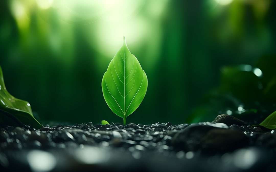 Percona Backup for MongoDB and Disk Snapshots in Google Cloud Platform – Part 2