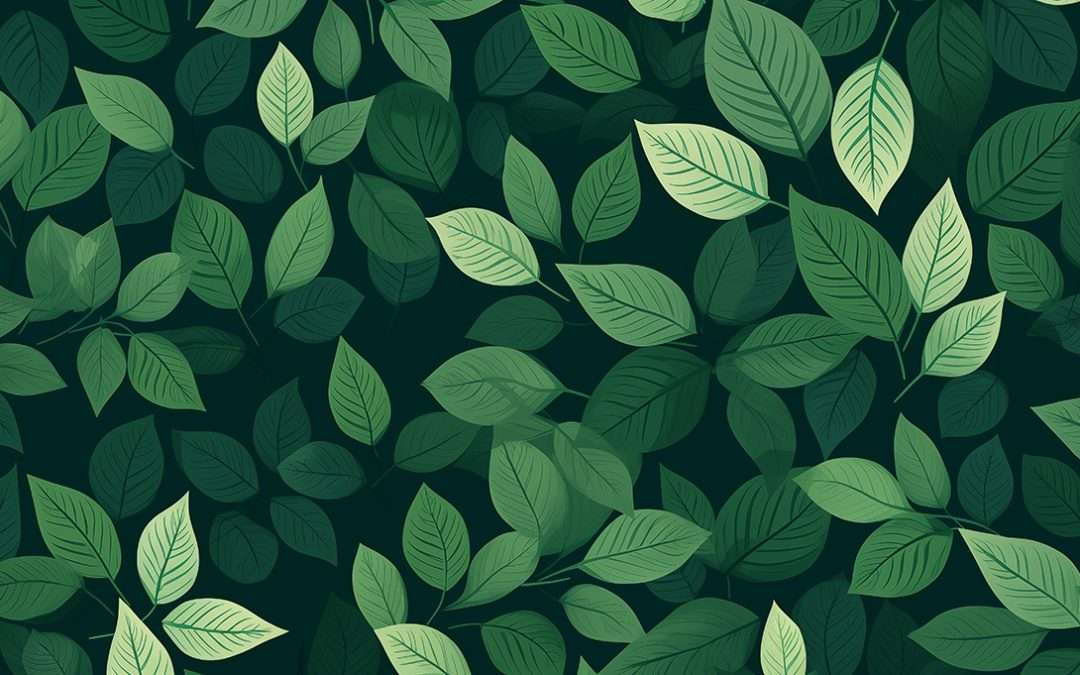 Percona Server for MongoDB 8.0: The Most Performant Ever