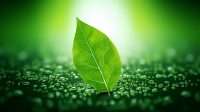 MongoDB Cloud