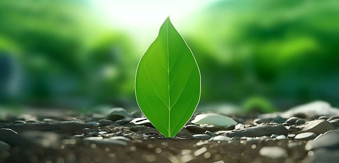 Using replicaSetHorizons in MongoDB