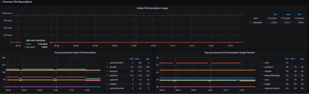 global file descriptors