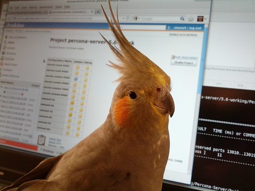 Beaker helping out with our next release
