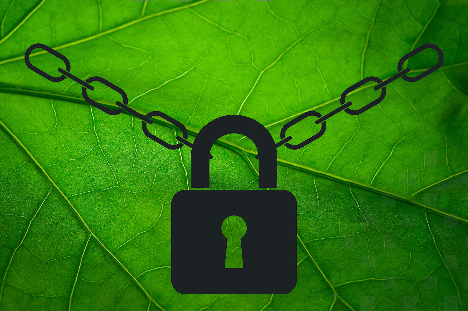 Encryption for MongoDB