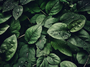 Improve MongoDB Performance with Proper Queries