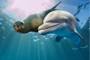 MariaDB 10.3 vs MySQL 8.0