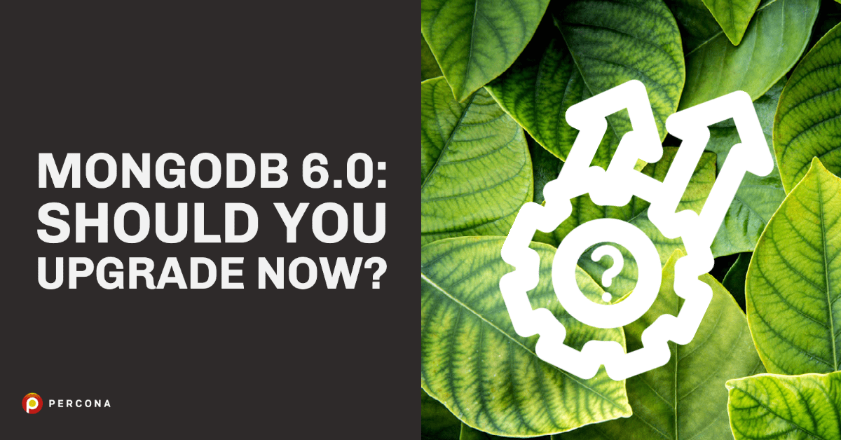 MongoDB 6.0: Should You Upgrade Now? - Percona