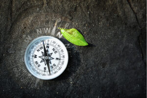 MongoDB Compass Community