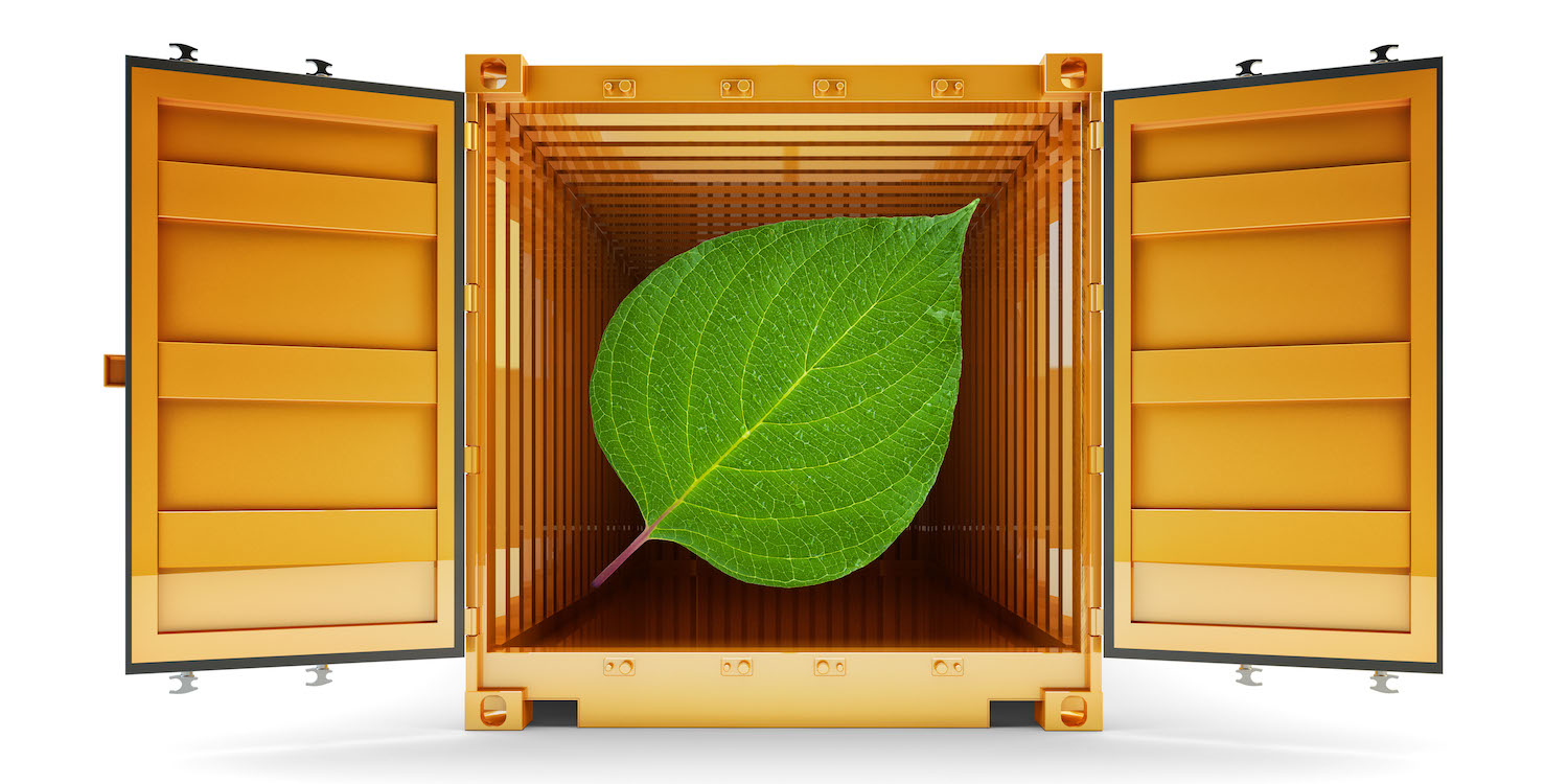 MongoDB Inside of a Containerized Environment