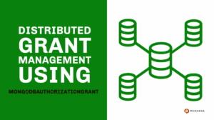 MongoDBAuthorizationGrant