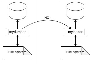stream through the network using nc