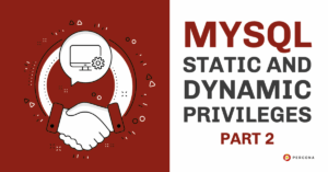 MySQL Dynamic and Static Privileges