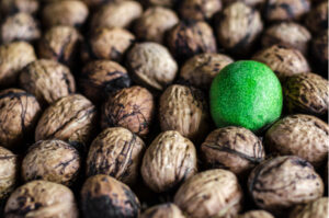 MySQL InnoDB Cluster MySQL Shell