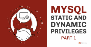 MySQL Static and Dynamic Privileges
