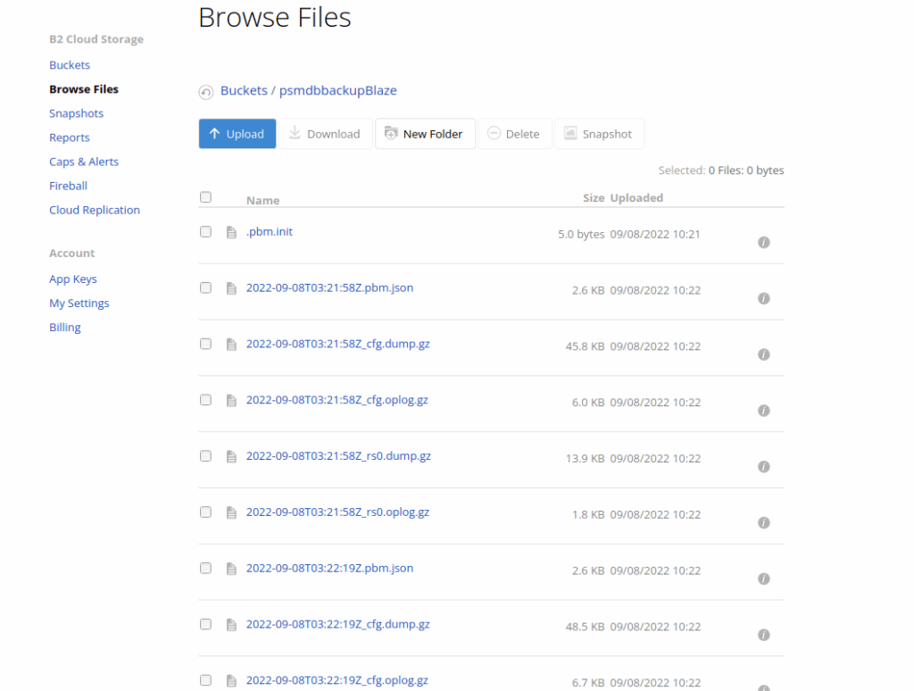Backup Files in B2 cloud Storage