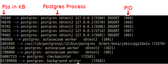 Postgres Process