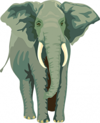 Postgres Logical Replication