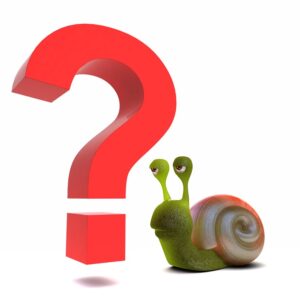 Slow and Frequent Queries with ProxySQL