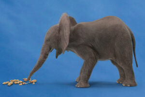 VACUUM and Bloat PostgreSQL