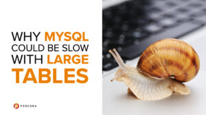 Why MySQL Could Be Slow With Large Tables