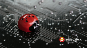 how percona handles bugs