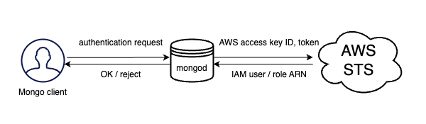 MongoDB AWS IAM integration 