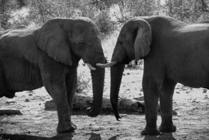 Locking in PostgreSQL