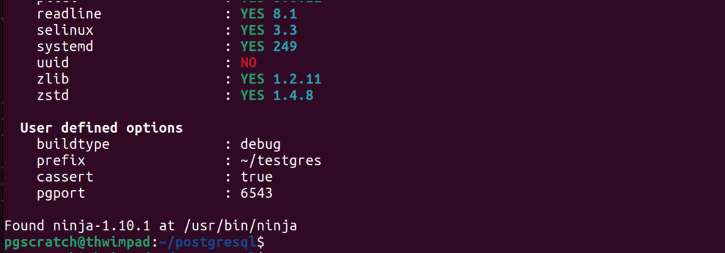 Meson build options reported back
