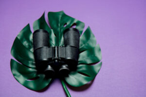 mongodb backup and recovery field guide