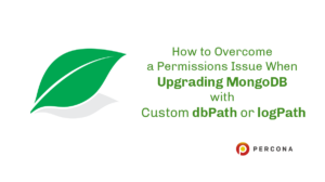 mongodb permissions issue